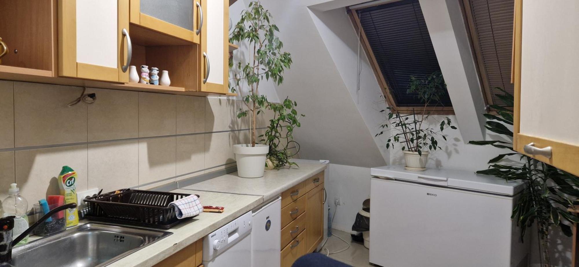 Apartman Natasa 3 Вршац Екстер'єр фото